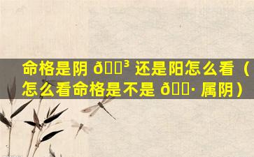 命格是阴 🌳 还是阳怎么看（怎么看命格是不是 🌷 属阴）